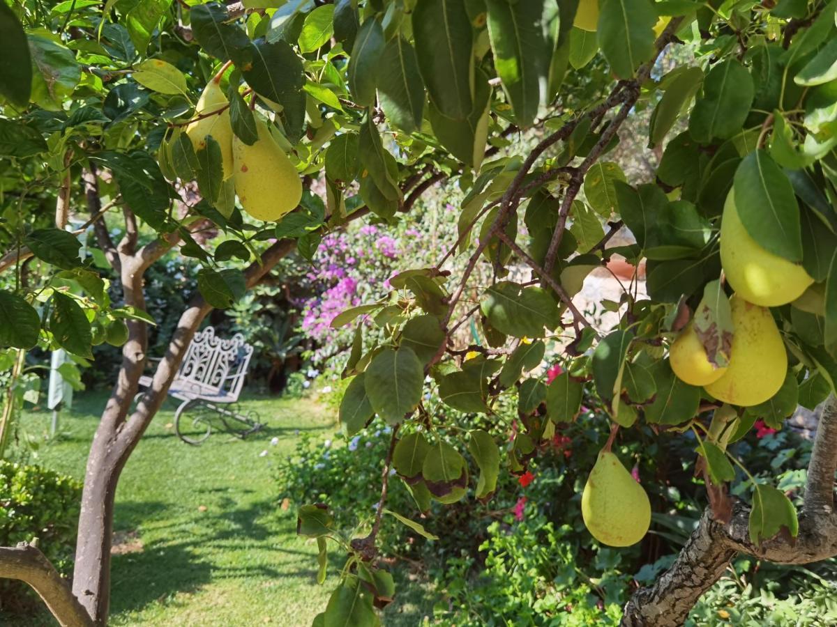 Il Giardino Rooms&Breakfast La Maddalena  Esterno foto