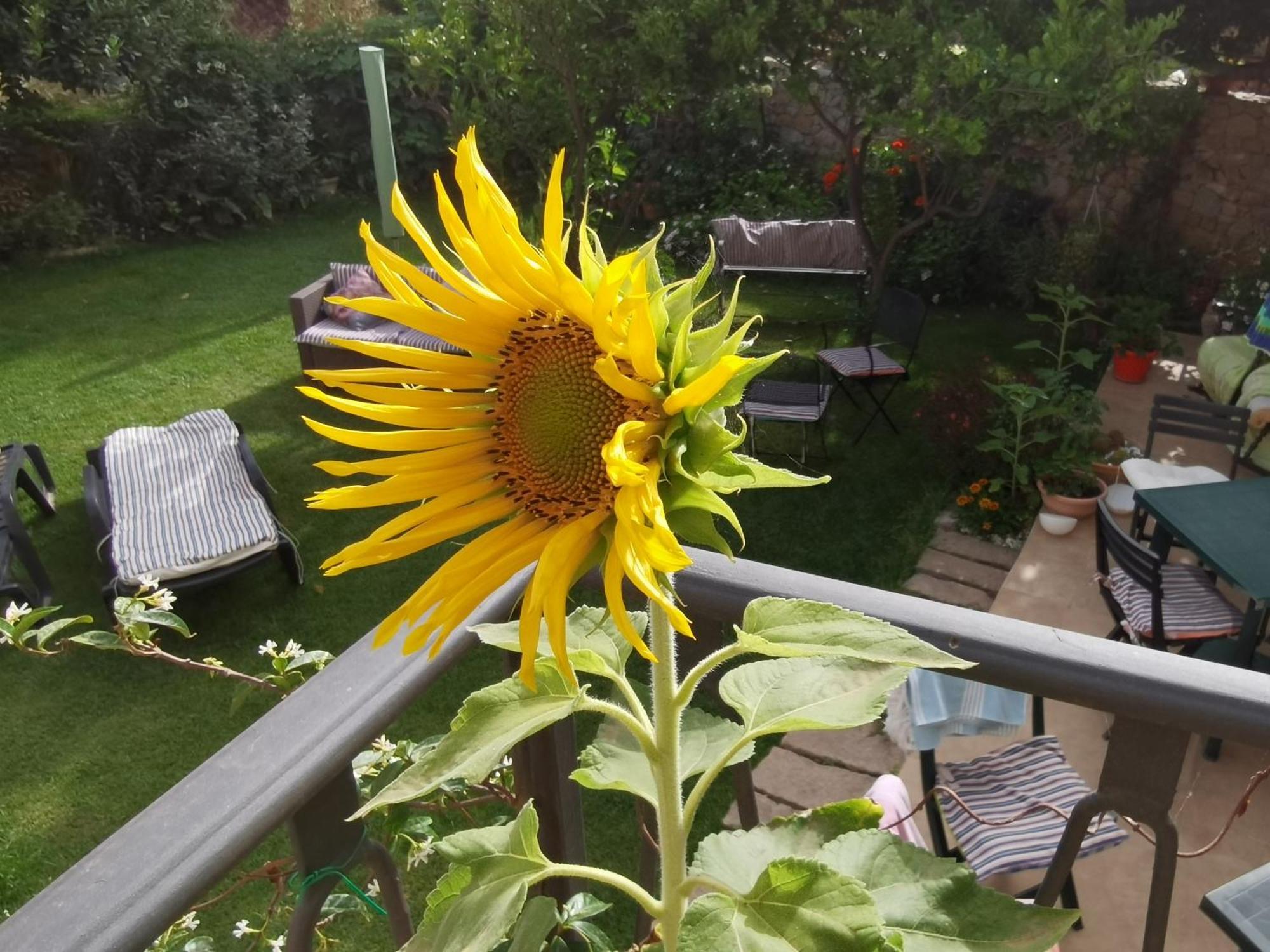 Il Giardino Rooms&Breakfast La Maddalena  Camera foto