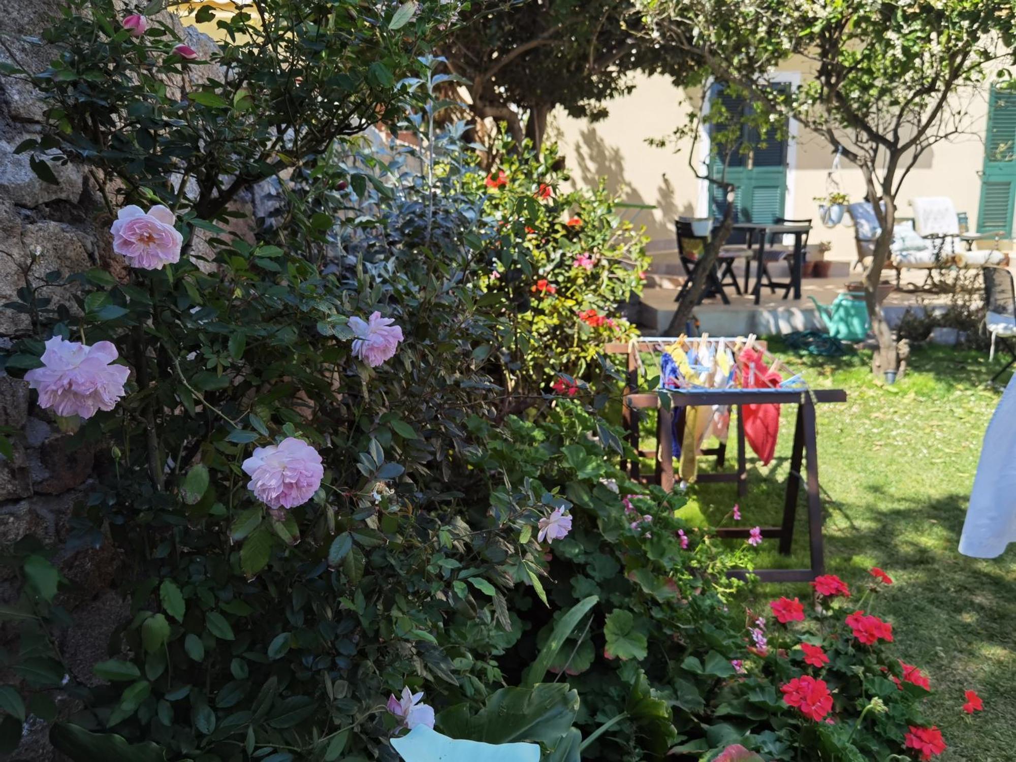 Il Giardino Rooms&Breakfast La Maddalena  Camera foto