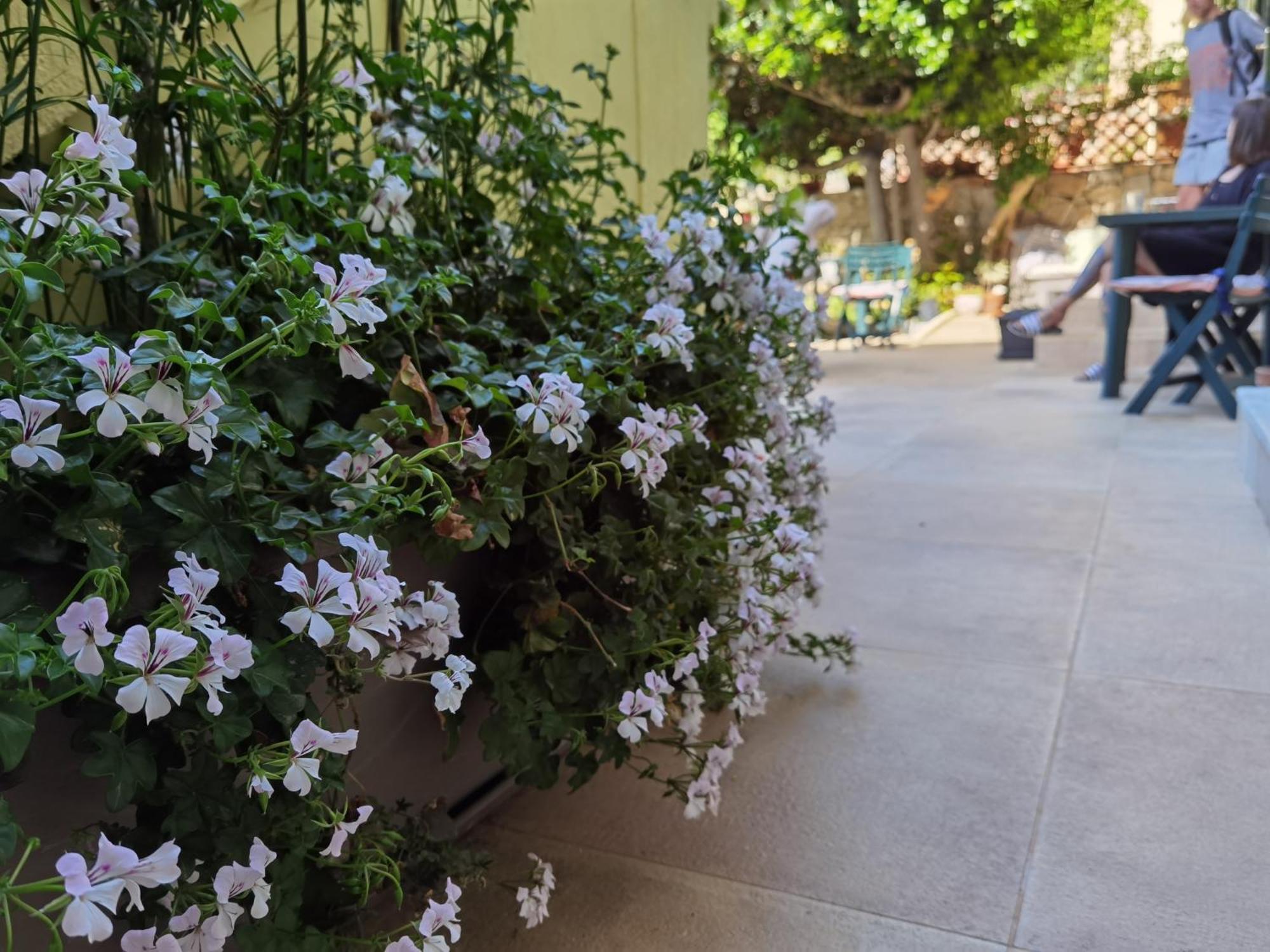 Il Giardino Rooms&Breakfast La Maddalena  Camera foto