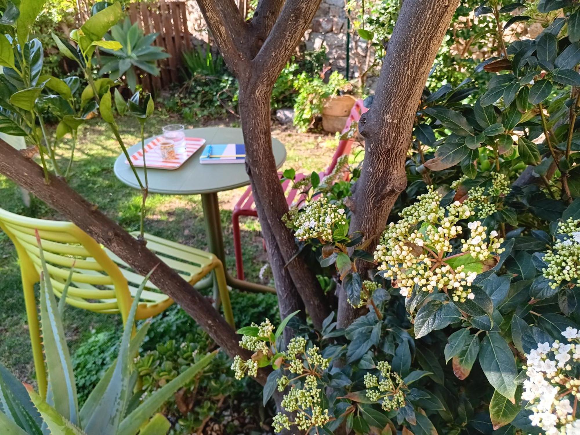 Il Giardino Rooms&Breakfast La Maddalena  Camera foto