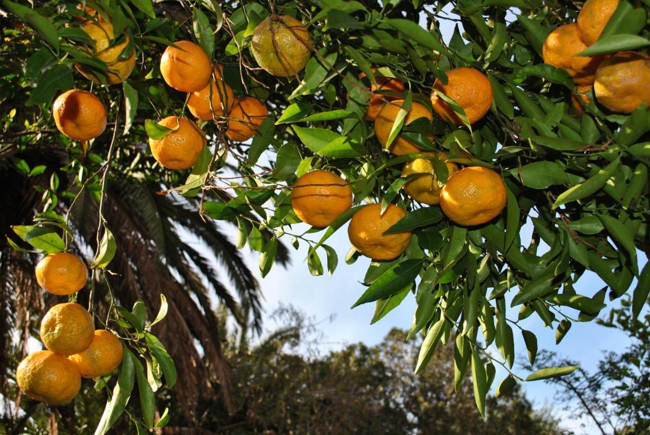 Il Giardino Rooms&Breakfast La Maddalena  Esterno foto